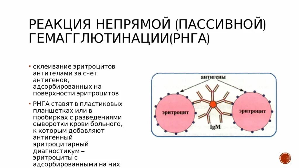 Гемагглютинация это