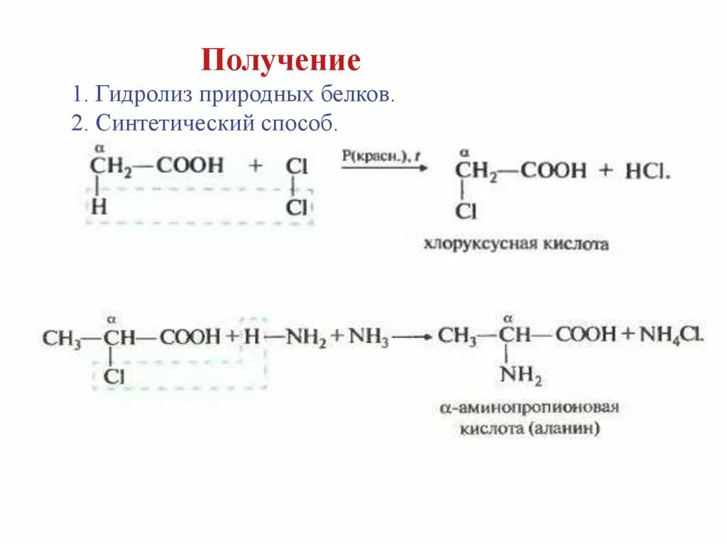 Белок вода реакция. Способы получения белков химия. Белки получение химия. Способы получения белка химия. Синтез аминокислот из карбоновых кислот.