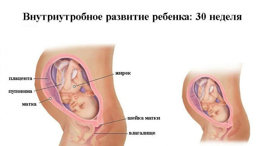 30 недель беременности в месяцах. Расположение ребенка на 9 месяце. 30 Недель беременности фото малыша.