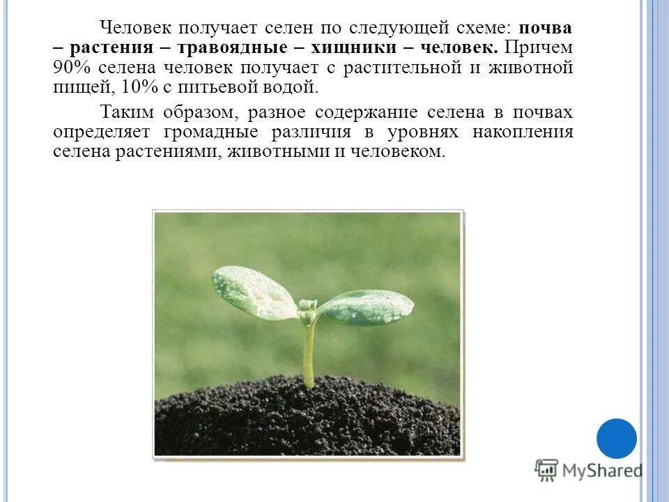 Которую растение получает из почвы с помощью. Что растения получают из почвы. растения получает из почвы с помощью. модель что растения получают из почвы. схема что растения получают из почвы.