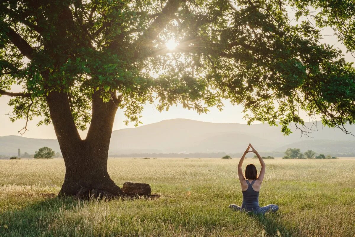 Развитый природа. Harmony with nature. Well being картинка в хорошем качестве. Well-being идеи картинка в хорошем разрешении вертикальная.