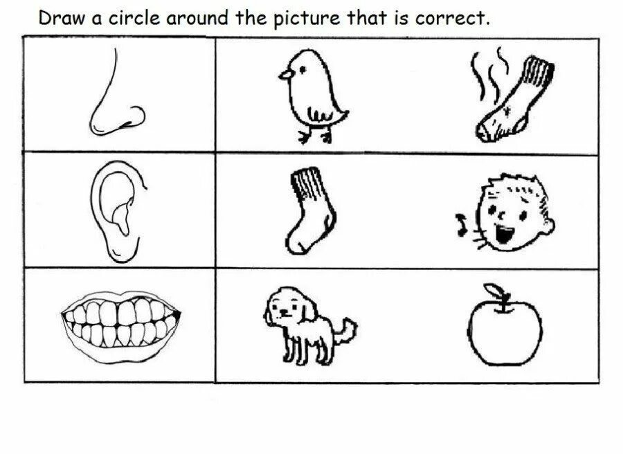 Органы чувств задания. Органы чувств задания для детей. Задания от органов чувств для дошкольников. Эмоции задания для детей. Задания Five senses.