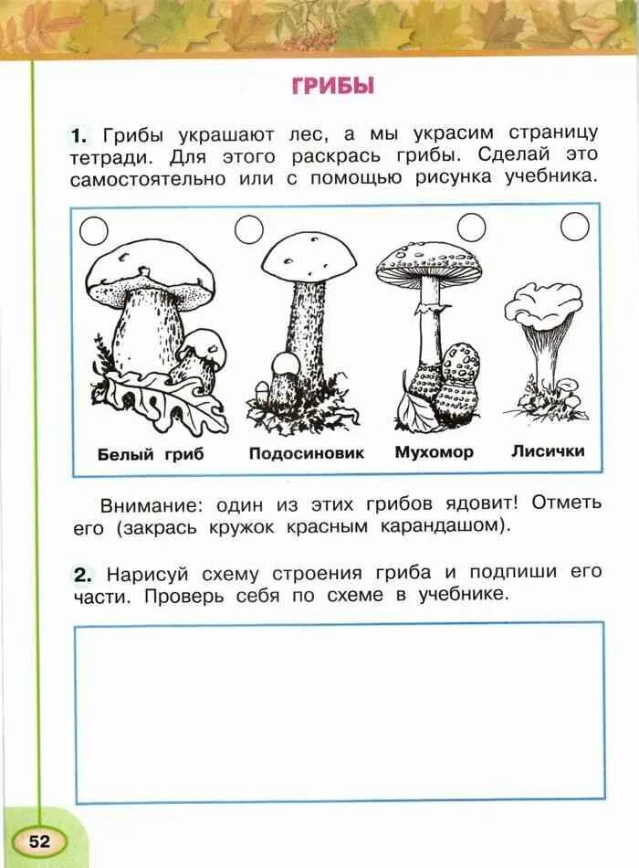 Проверочная работа по теме грибы 3 класс. Окружающий мир 2 класс рабочая тетрадь грибы. грибы окружающий мир 2 класс плешаков. окружающий мир 2 класс рабочая тетрадь 2 грибы. грибы окружающий мир 2 класс рабочая тетрадь ответы.