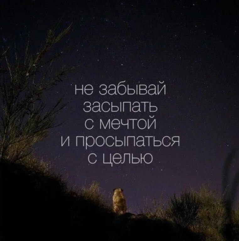 Спокойной ночи афоризмы. Спокойной ночи сон лучшее лекарство. Цитаты на ночь спокойной ночи. Мудрые цитаты на ночь. Мудрые цитаты на ночь.