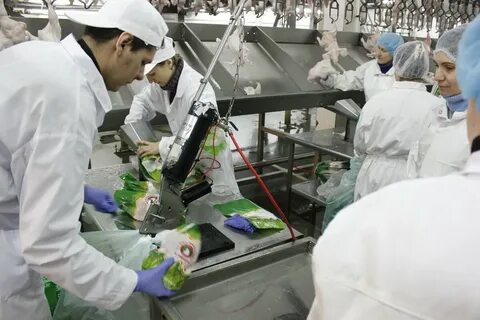 Свежие вакансии птицефабрика