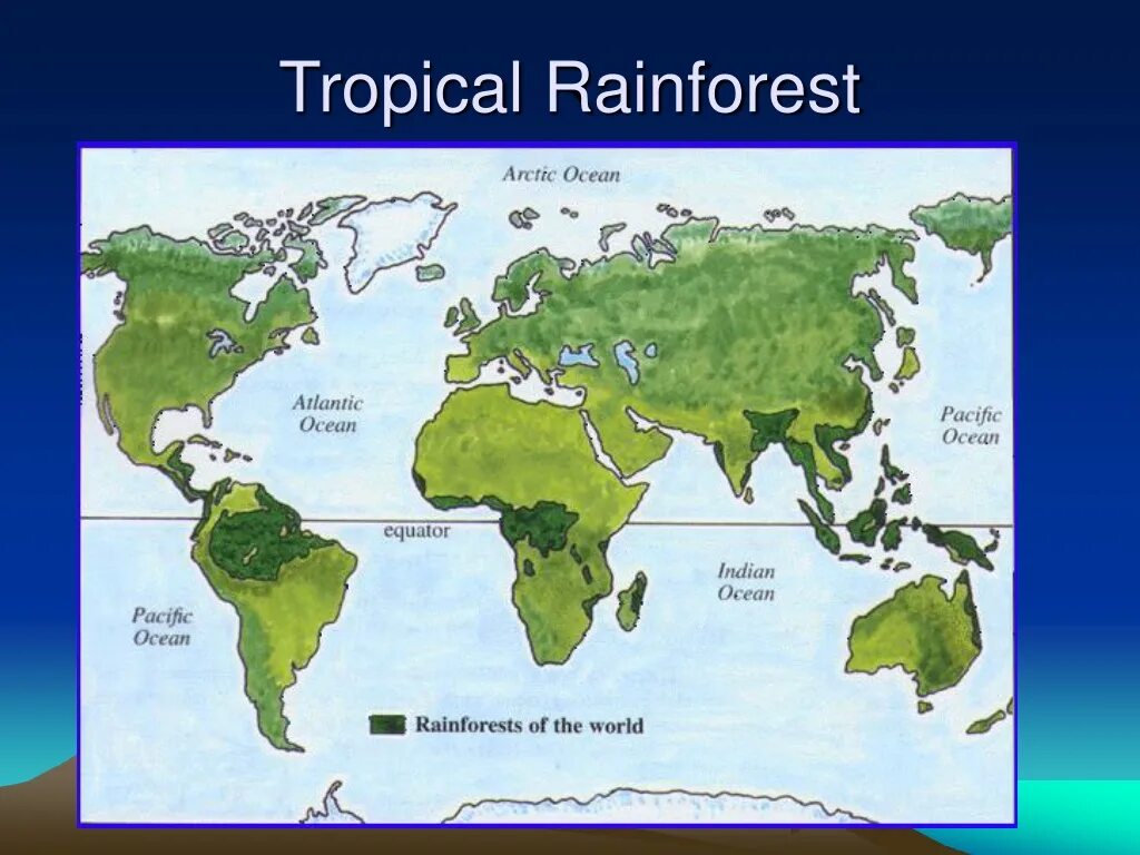 Биомы суши. Тропические леса на карте. Тропические леса географическое положение.