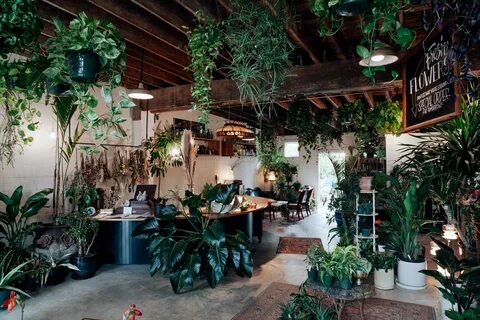 Store plants