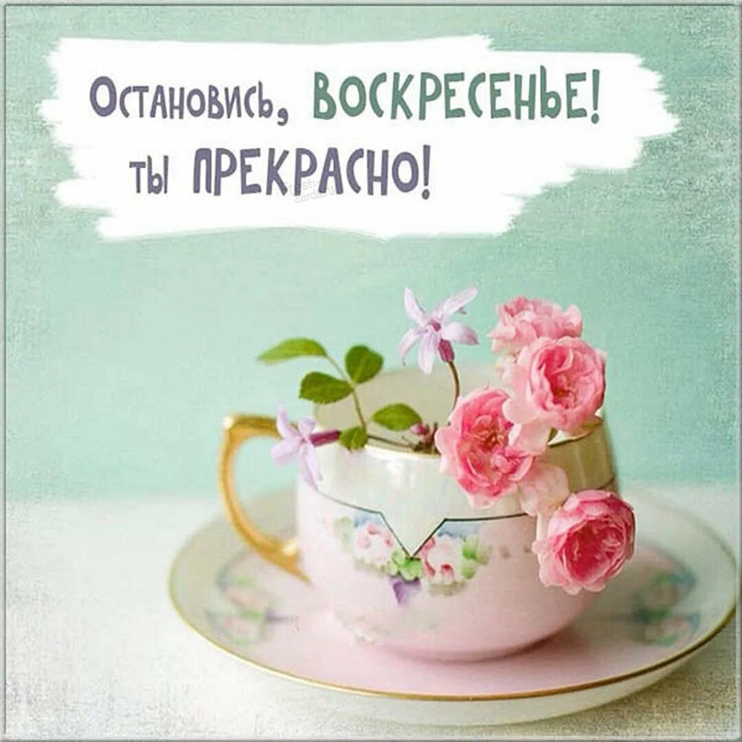 Добро утро воскресенье картинки. Открытки с добрым утром воскресенья. Пожелания с добрым воскресным утром. Доброго воскресного утра и хорошего дня. Воскресенье хорошего дня.