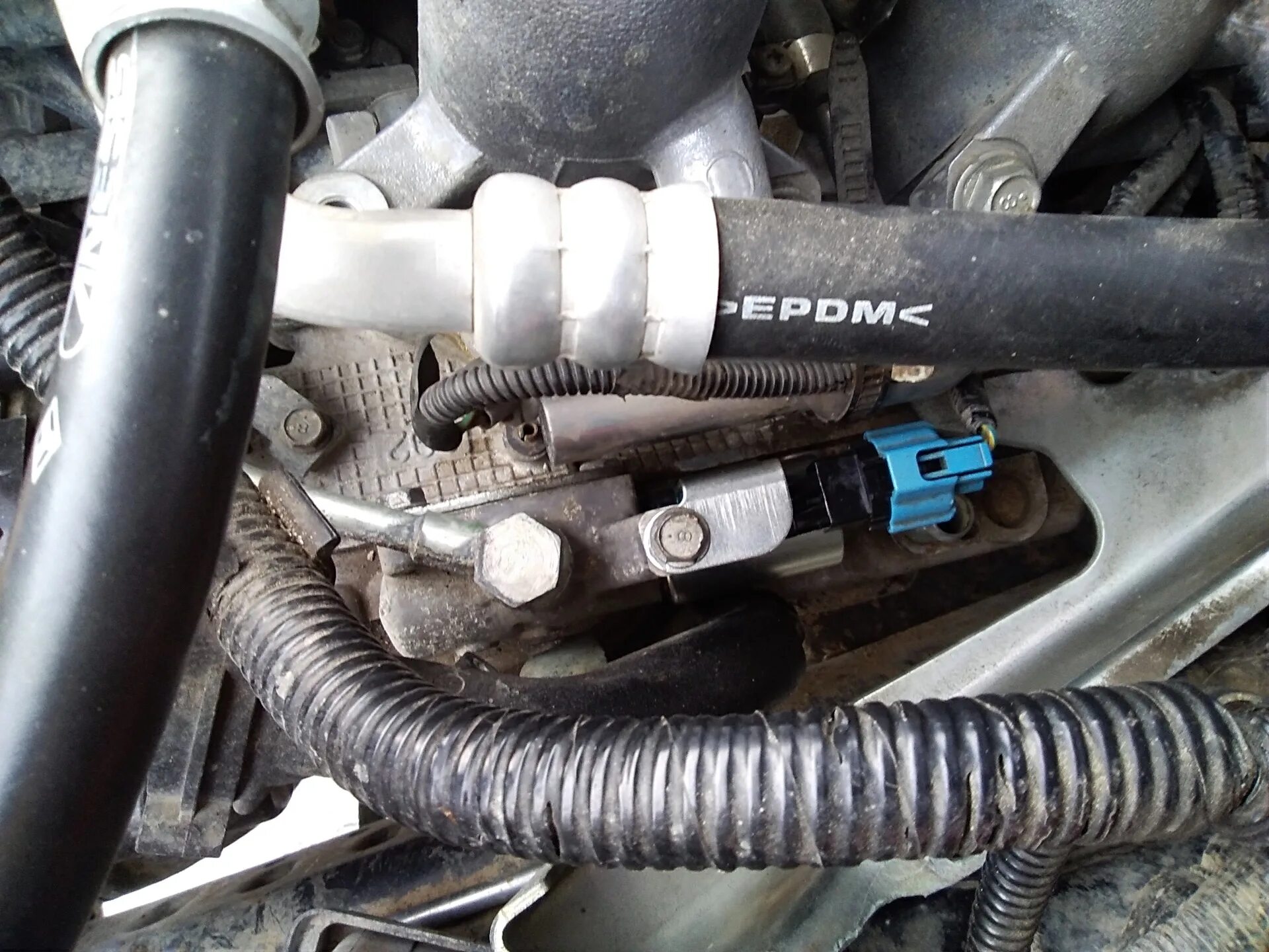 Ошибка р 0 0 30. P0011 subaru forester. субару форестер клапан avcs. ошибка p0011 subaru. p0011 и p0021 субару импреза.
