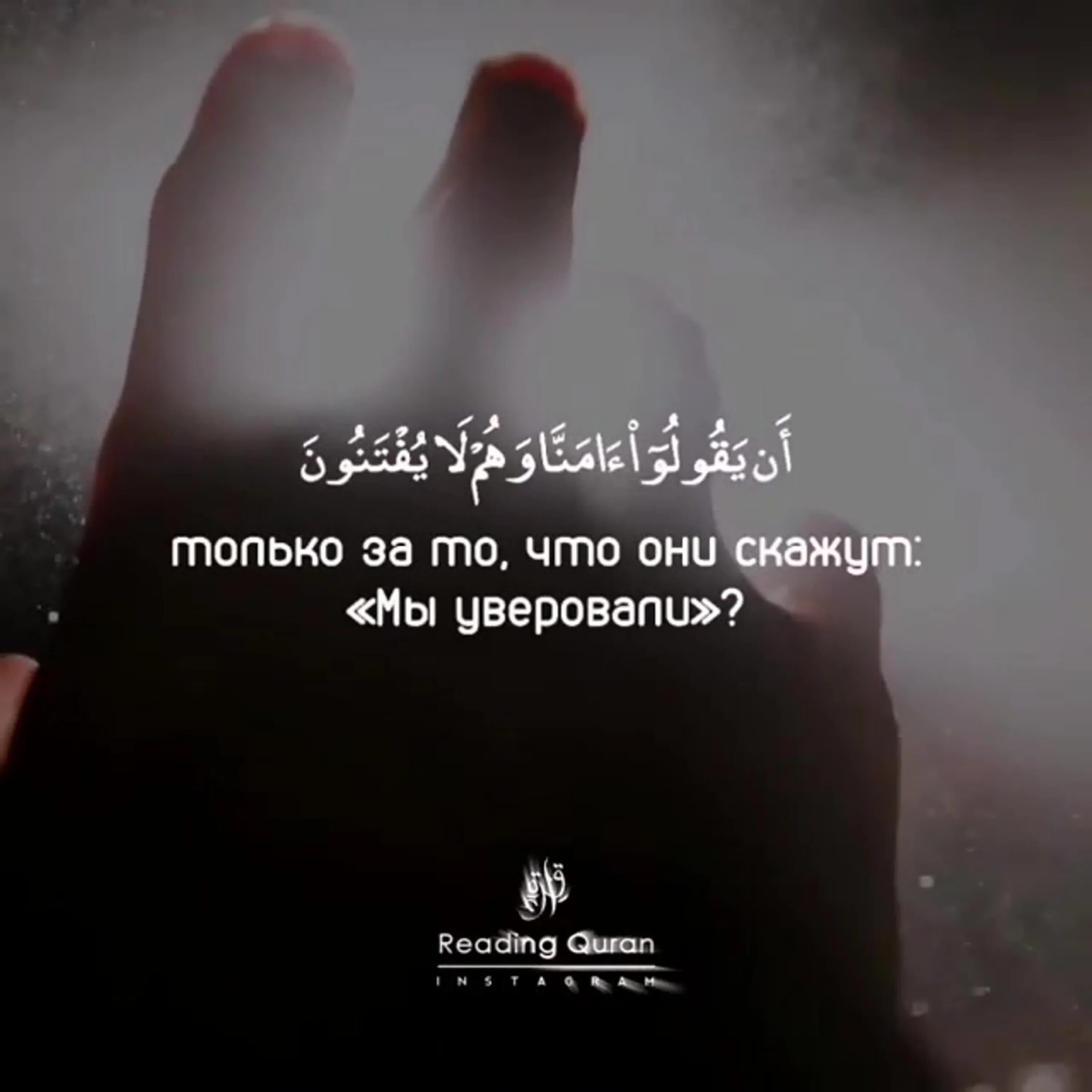 Сура 29 паук. Сура паук. Аят паук. Пауки сура аль. Сура 29 паук.