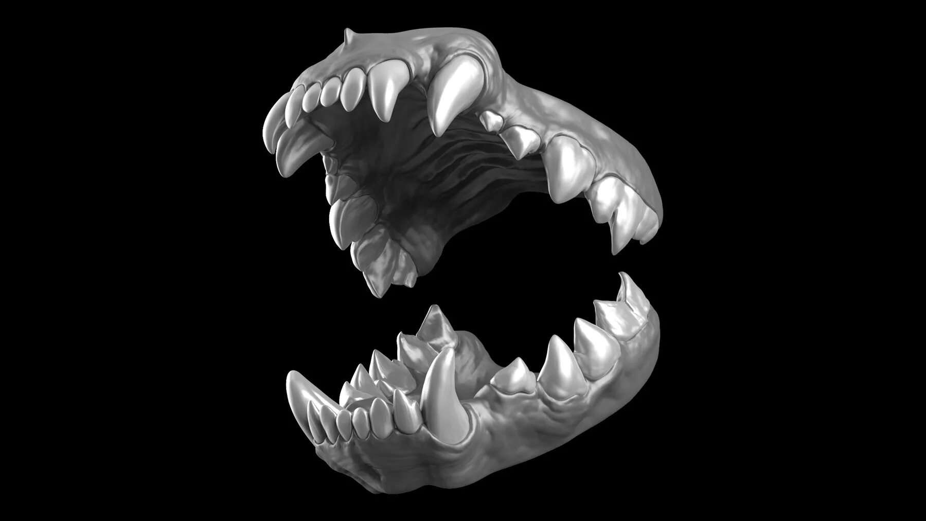 Eight teeth. Eight teeth