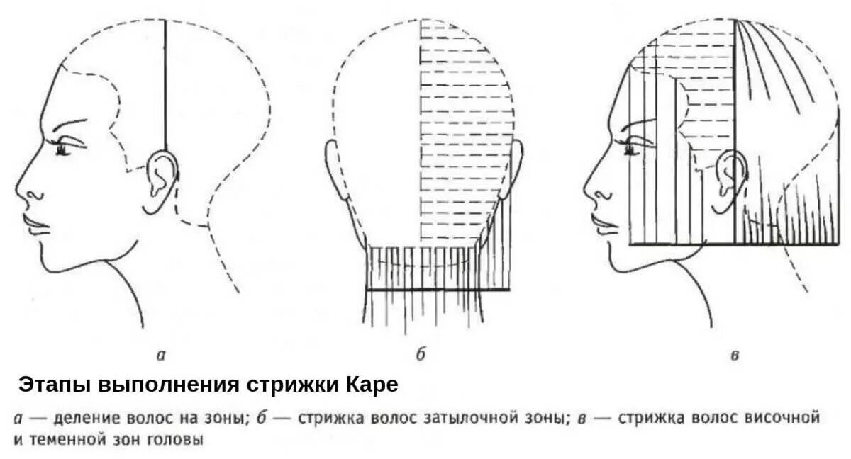 Схема подстричь. Каскад схема стрижки теменной зоны. Технология выполнения стрижки градуированное каре схема. Стрижка затылочной зоны схема. Схема женской стрижки классическое каре.