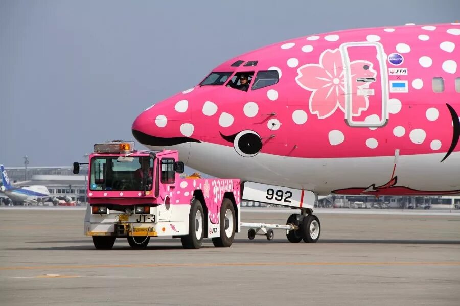 Самые интересные самолеты. Розовый самолет. Разноцветные самолеты. Необычные окраски самолетов. Расцветки пассажирских самолетов.