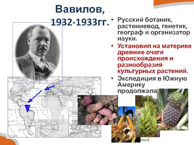 Русские географы. Русский географ статистик. Петр петрович семенов тянь шанский. Крашенинников степан петрович. Петр семёнов-тян-шанский1827-1914.