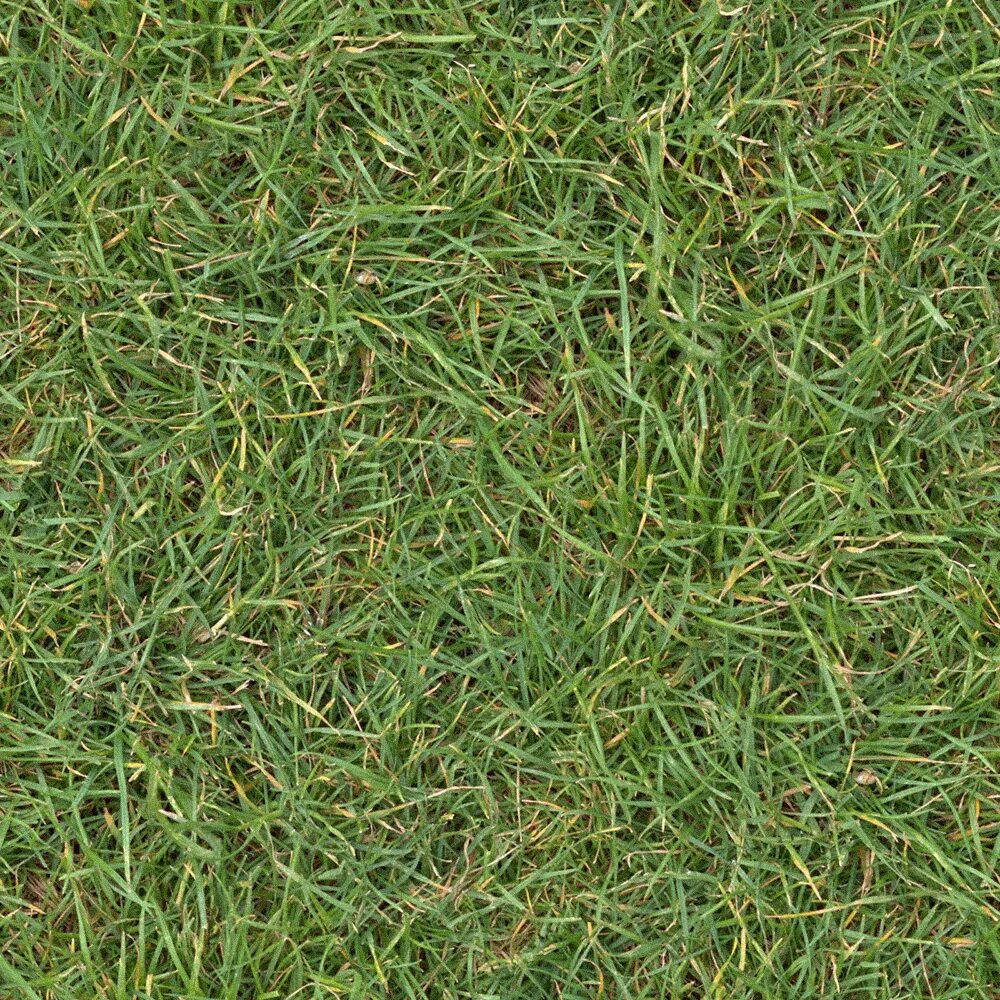 Grass texture бесшовная 4k. Трава для юнити 3д. Штукатурка с блеском текстура. Текстура каньона. Фактура старого бетона.