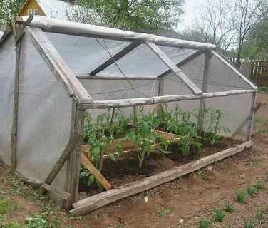 Парник для огурца своими руками