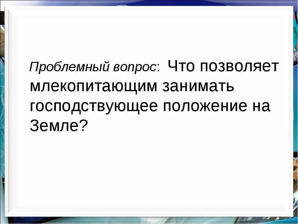 Господствующее положение на земле занимают. Млекопитающие занимают господствующее положение. класс млекопитающие вопрос проблемные. почему насекомые заняли господствующее положение на земле. почему млекопитающие заняли господствующее положение.