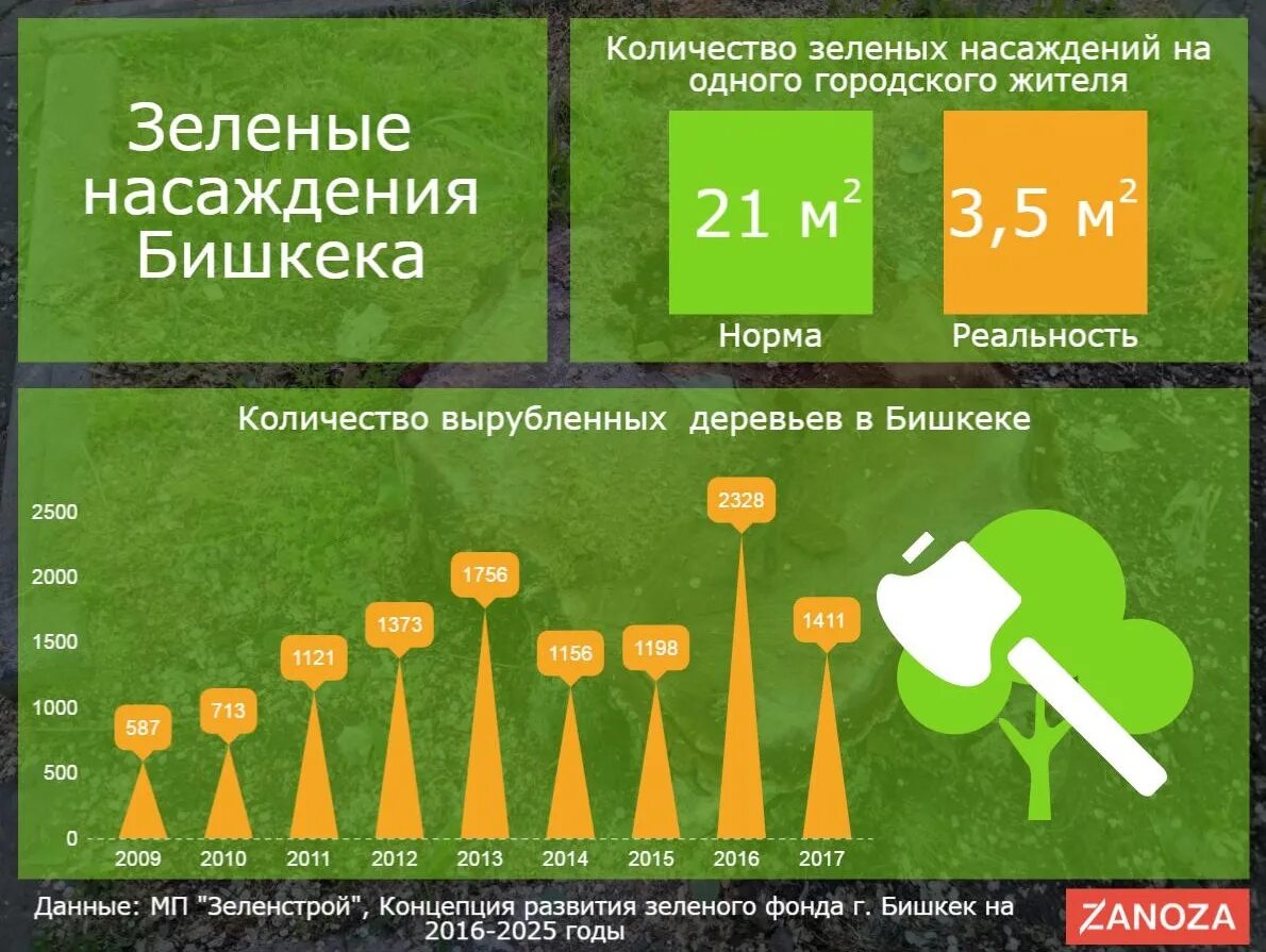 Инфографика вырубка лесов. Вырубка леса в РФ инфографика. Нормы зеленых насаждений на одного человека. Сколько вырубается деревьев в год.