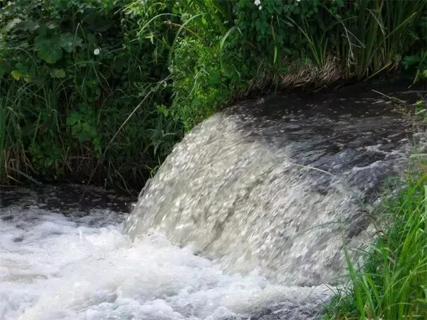 Вода бежит. Если на участке бежит Родник.