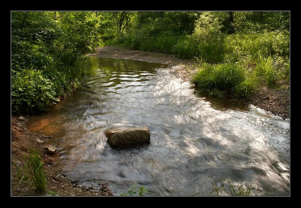 Журчит родник. Реки воды живой. Речка бежит. Текущая река. Бежит река.