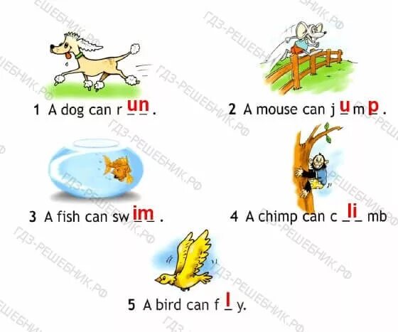 A chimp can перевод. I can Jump 2 класс рабочая тетрадь. Английский язык 2 класс рабочая тетрадь i can Jump. Look read and complete 2 класс. Английский язык 2 класс i can Jump.