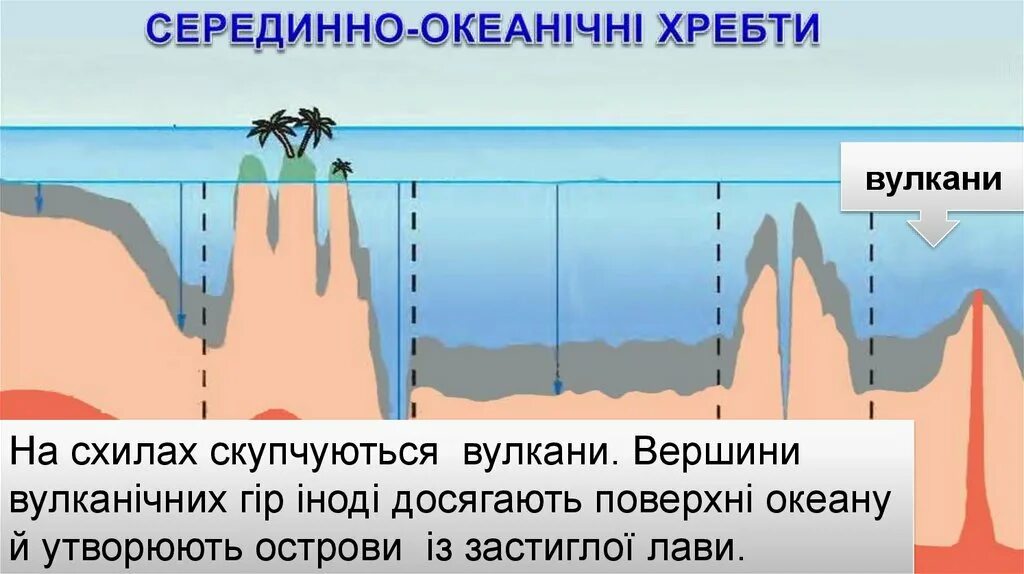 Рельеф дна океанов 5 класс география. Схема рельефа океанического дна. Строение рельефа дна мирового океана. Схема строения дна мирового океана. Рельеф дна мирового океана схема.