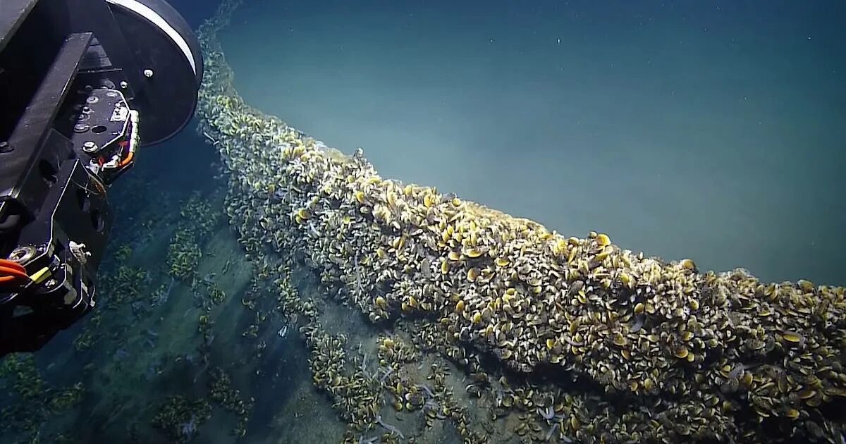 Under lake. Дно мексиканского залива. Подводное озеро в мексиканском заливе. Подводные соляные озера. Что на дне мексиканского залива.