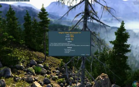 Environment settings