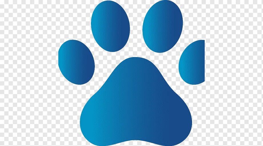 Голубая лапка. Собачья лапа. Логотип лапка. Синяя лапа логотип собачья. Лапка синяя иллюстрации.
