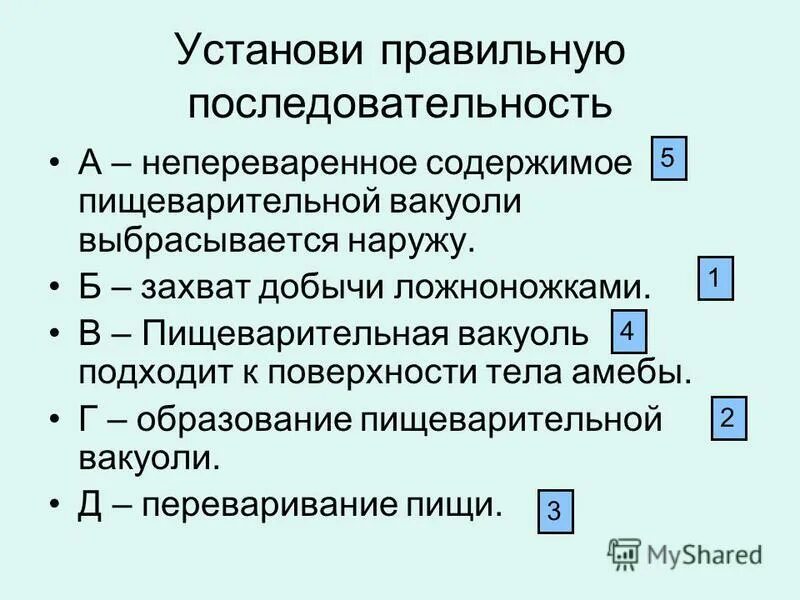 перемещение пищи в пищеварительной системе. установите последовательность процессов всасывание аминокислот. этапы переваривания пищи. конвейерный принцип организации пищеварения физиология. схема процесса пищеварения.