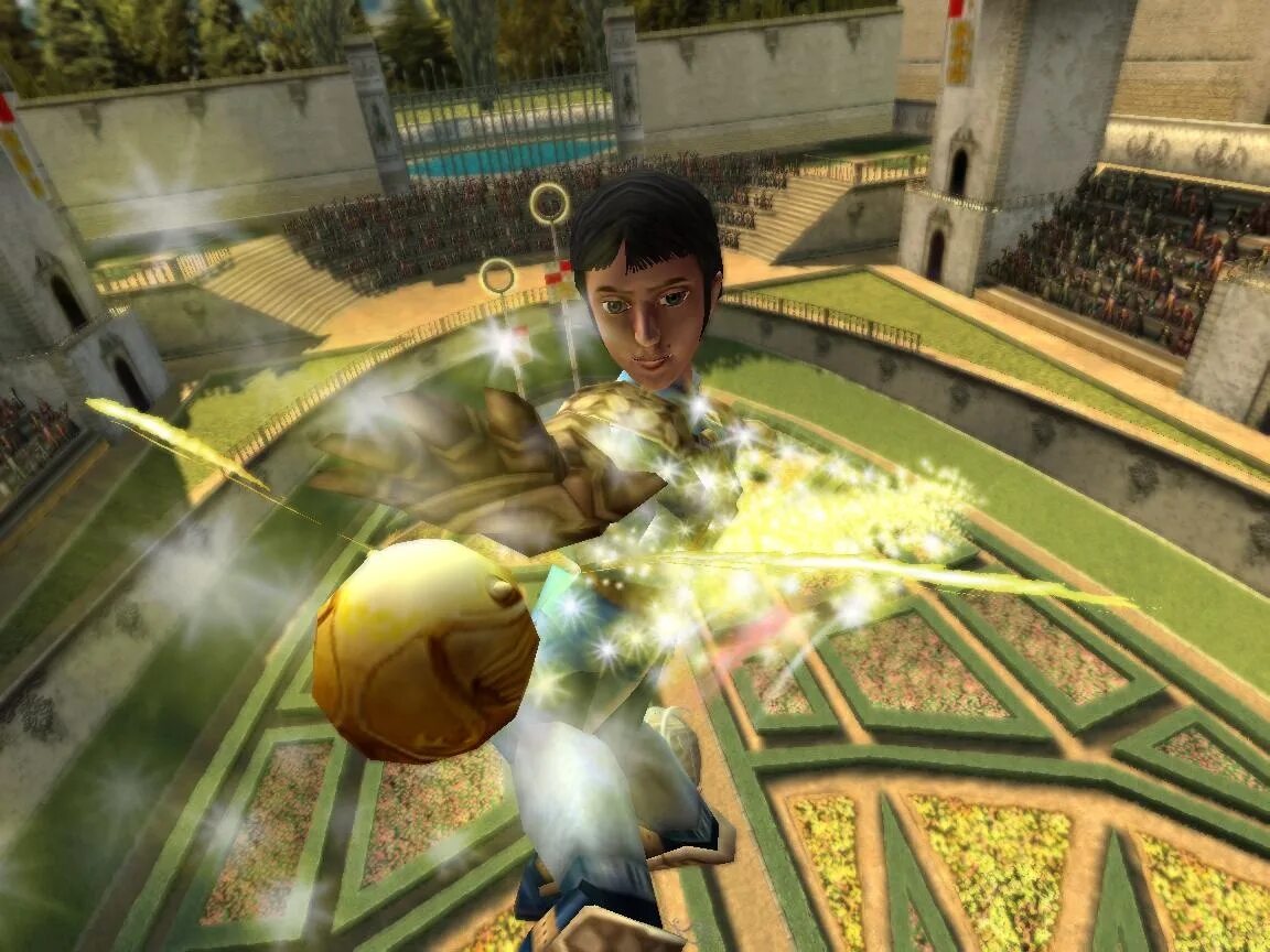 Quidditch cup. Harry Potter: Quidditch World Cup игра. Harry Potter Quidditch World Cup. Золотой стадион для квиддича. Harry Potter Quidditch World Cup 2.