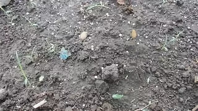 Что положить в лунку при посадке помидор. Посадка томатов в лунку. Посадка томатов в лунку. Удобрения в лунки при высадке. Удобрение при высадке рассады томатов.