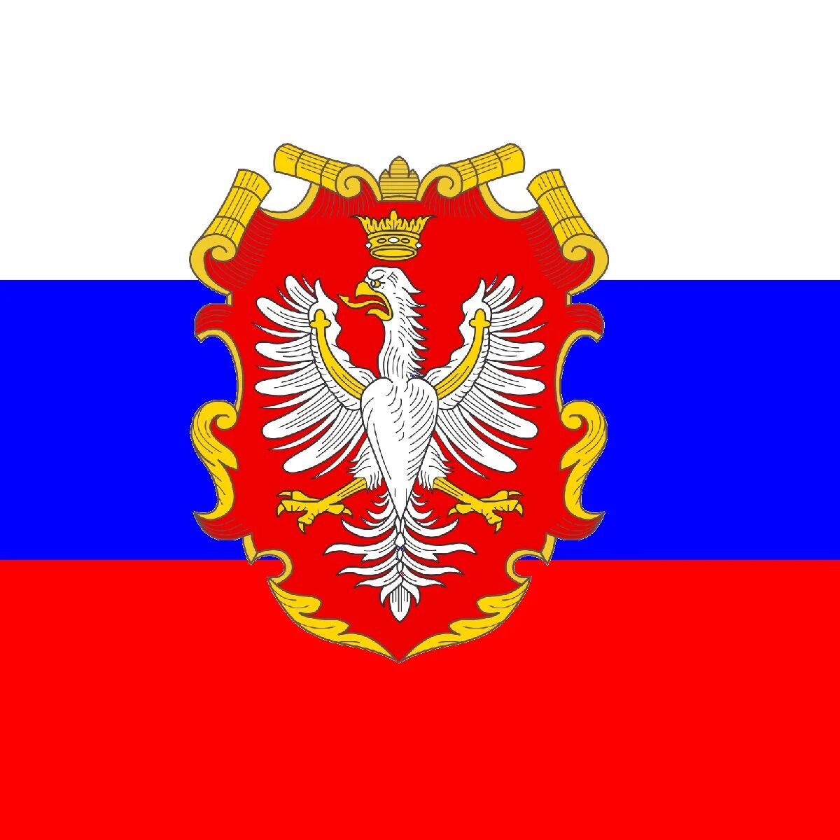 Российская народно демократическая республика. Российская народно демократическая республика. Флаг рсфср 1947. Альтернативный флаг рфр. Российская народно демократическая республика.