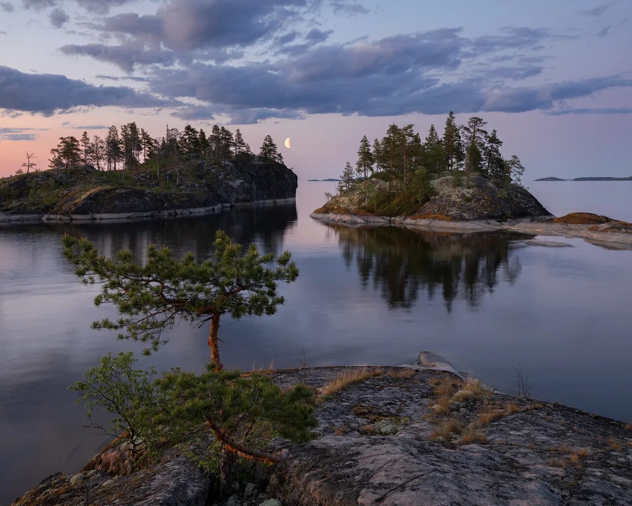 марциальные воды, карелия (республика карелия) климат. ладожские шхеры флора. карелия лес ладога. карелия тундра. карелия петрозаводск природа.