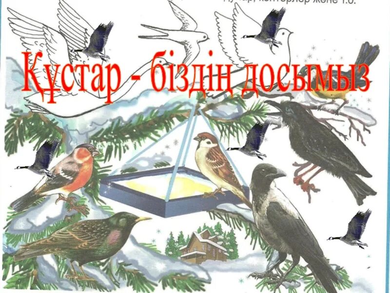 Құстар біздің досымыз слайд презентация. Құстар біздің досымыз рамки для фотографий. Су кустары. Кустар быздын досымыз фото. Құстар біздің досымыз сурет