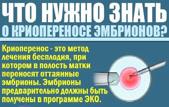 Криоперенос эмбрионов при эко. Крио перенос эмбриона. Криоперенос в естественном. Криоперенос подготовка. Эко криоперенос форум