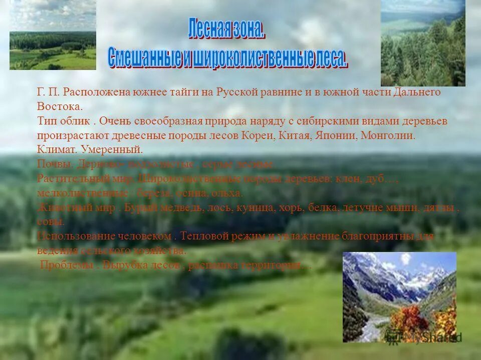 Природные зоны восточной равнины. Климат смешанных и широколиственных лесов на Дальнем востоке. Климат широколиственных лесов дальнего Востока. Смешанные леса дальнего Востока климат. Климат смешанных лесов дальнего Востока.