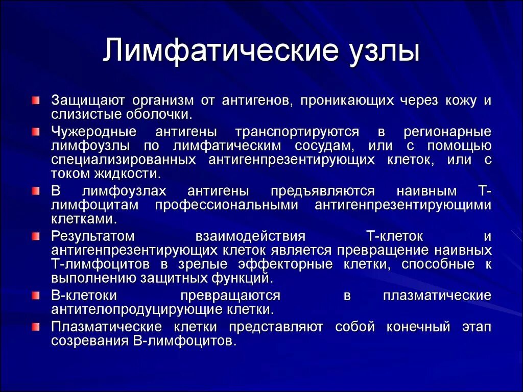 Региональные лимфатические узлы. Визуализируются лимфоузлы это что. Регионарные лимфатические узлы не визуализируются что это. Регионарные лимфатические узлы. Метаболические лимфоузлы