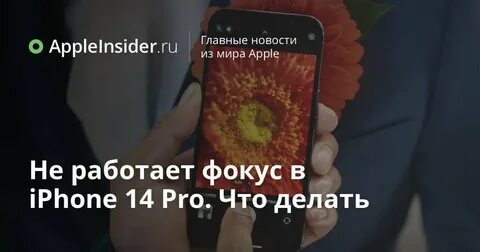 Focus не работает