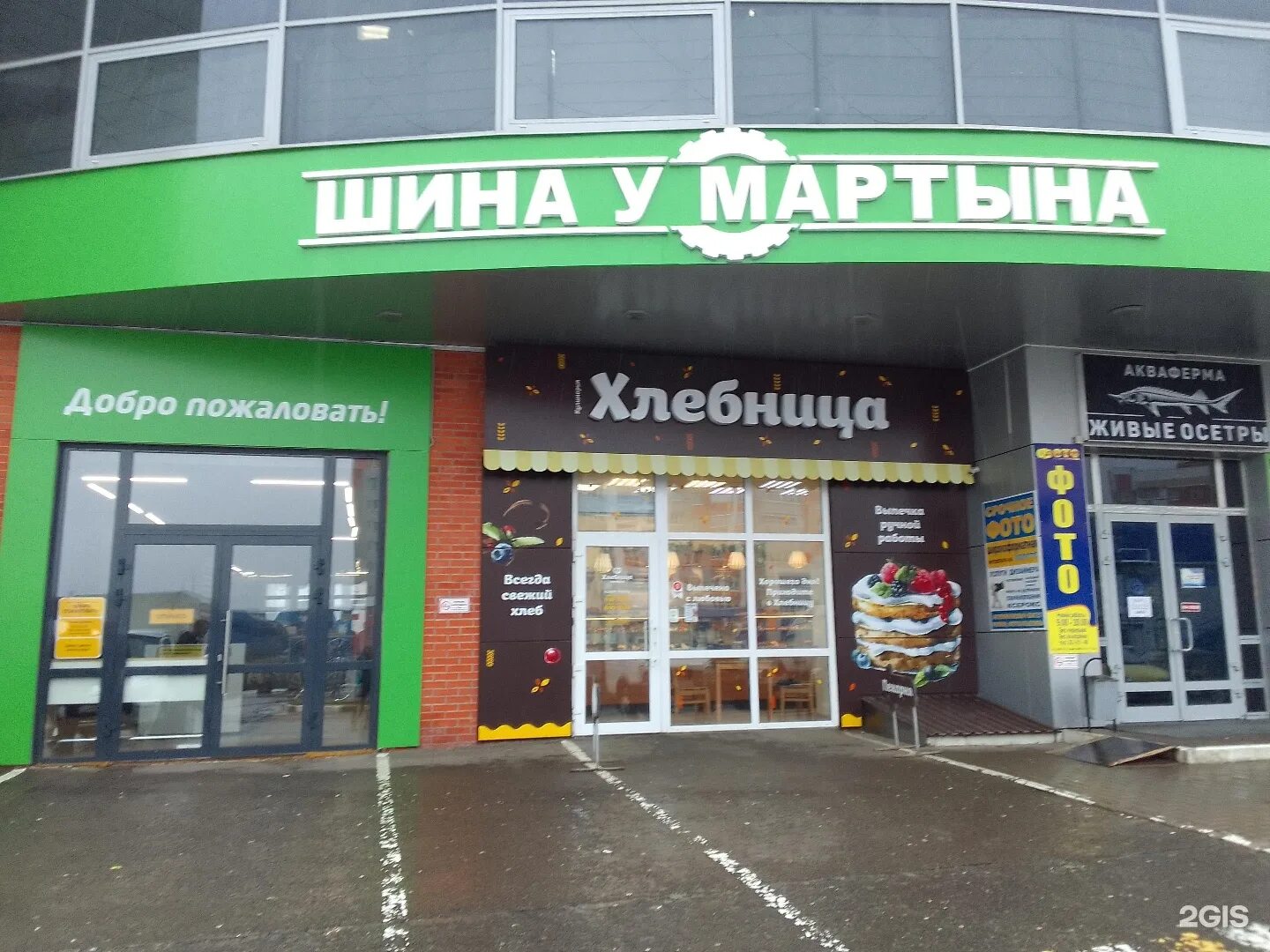 Шины у мартына брянск сайт