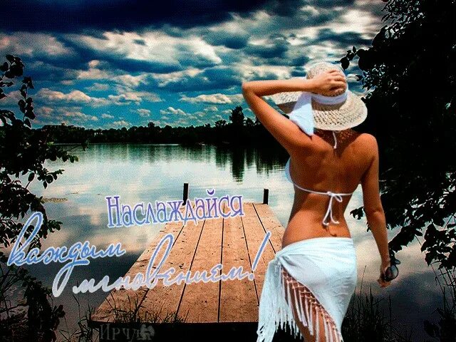 Жизнь прекрасна гиф. Документальный фильм мультфильмы. Доброе утро бабочки. Анимация жизнь. Открытка живи.