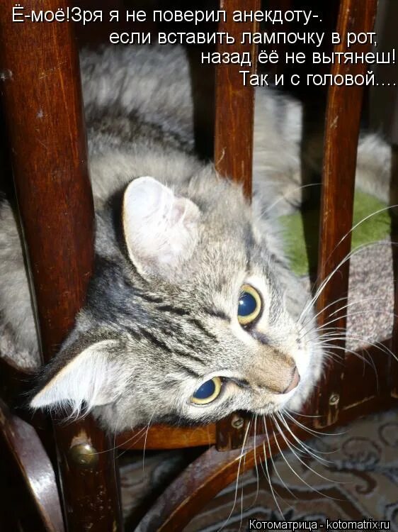 поверивший шутке. 1 апреля мемы. я верил тебе мем. каспийский груз мем. антон мем.