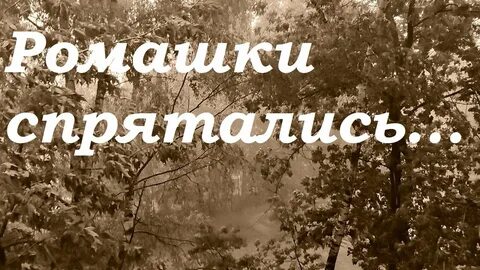 Минус песни ромашки спрятались
