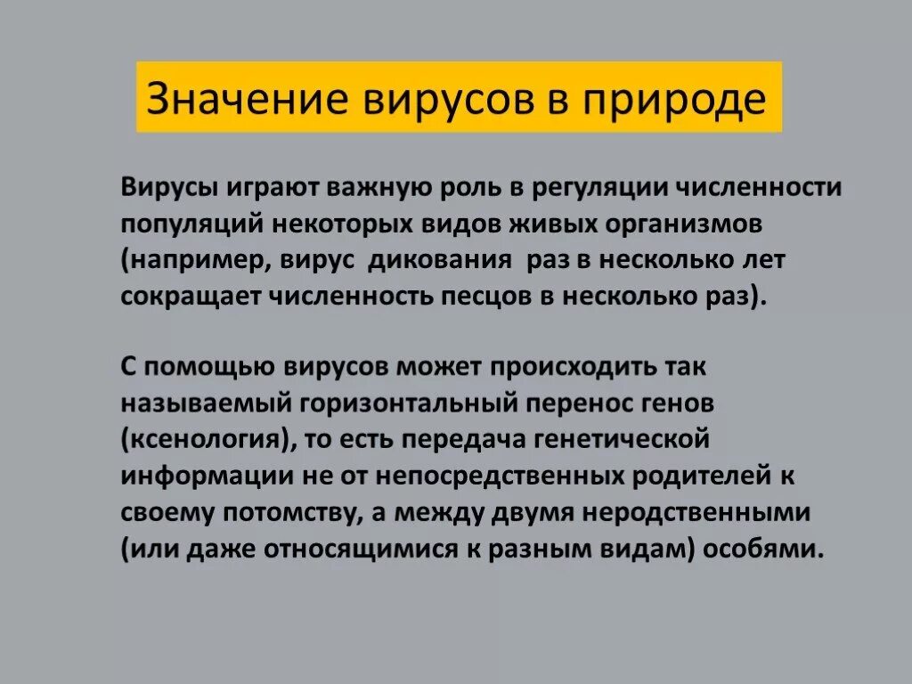 Вирусов в природе и жизни человека. Значение вирусов. Роль вирусов в природе. Роль вирусов в природе и жизни. Значение вирусов в природе и жизни человека.