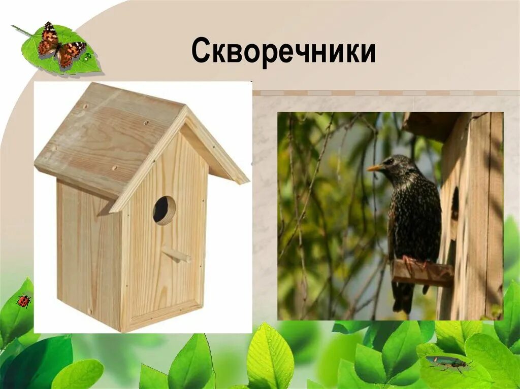 Творческий проект скворечник. Название скворечников для птиц. Конструирование скворечник. Проект скворечник. Акция скворечник в детском саду.