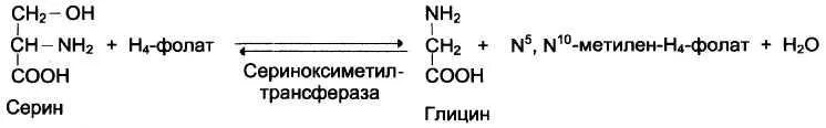 Реакция образования Серина из глицина. Схема превращения глицина. Реакция превращения Серина в глицин. Реакция взаимопревращения Серина и глицина. Напишите реакцию глицина