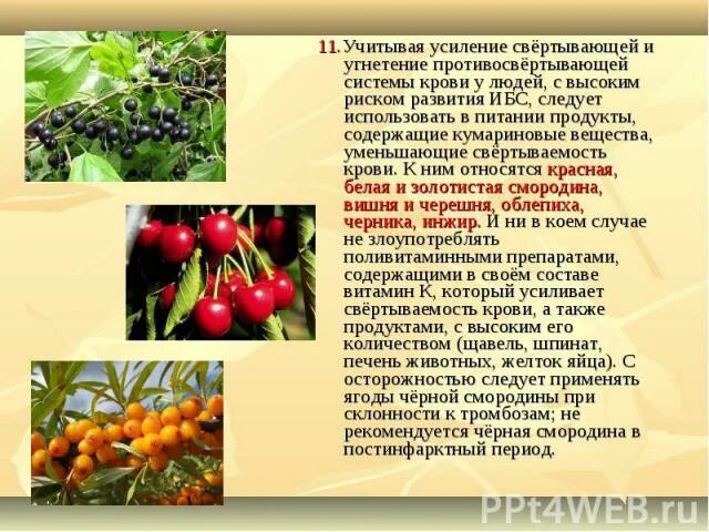 Крапива разжижает или сгущает кровь. Сворачивание крови продукты. Травы повышающие свертываемость крови. Фрукты для свертываемости крови. Продукты свертывающие кровь.