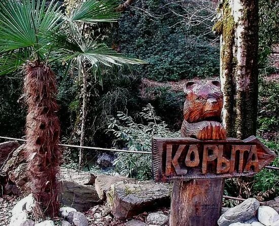 Дагомысские корыта сочи фото Озера Любви: Баня на Дагомысских корытах Туристическая фирма "Анастасия"