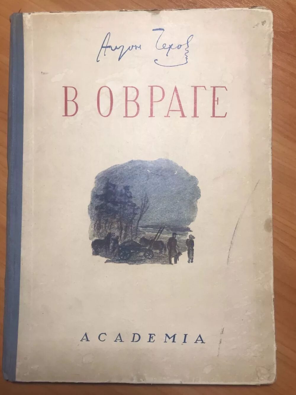Чехов в овраге краткое содержание. Чехов в овраге краткое содержание