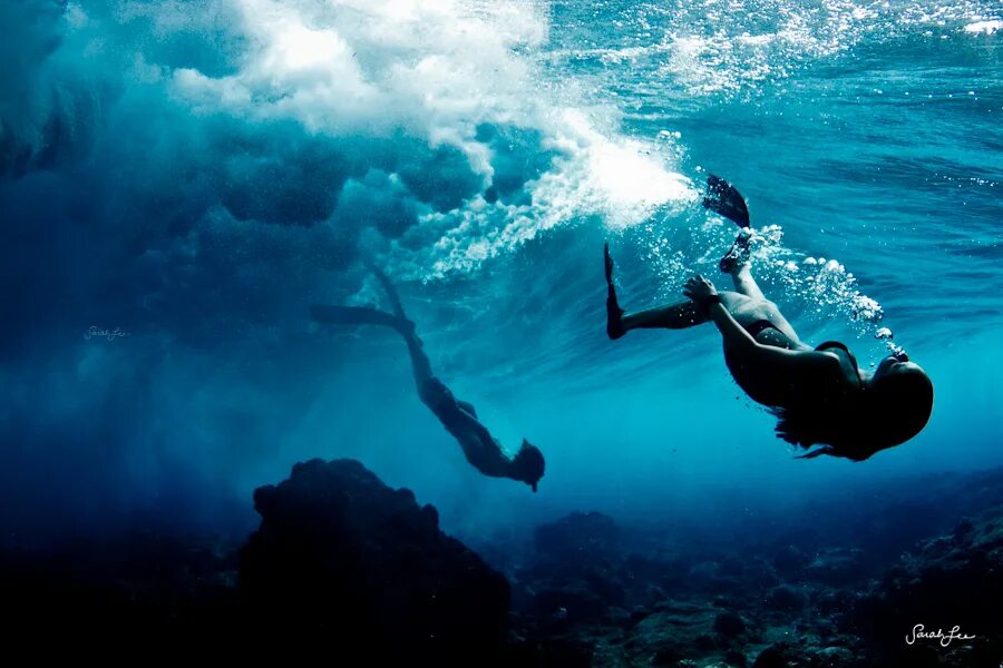 Водная жизнь. Красочной фото под водой.